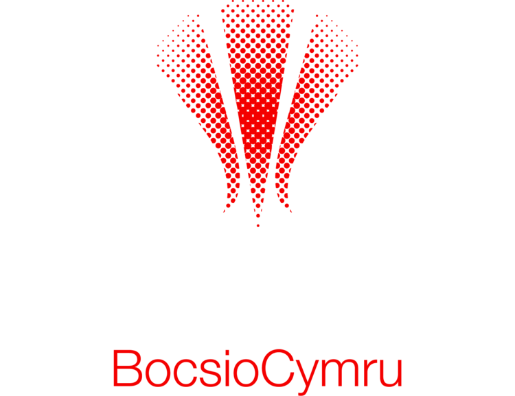 Welsh Boxing logo with a red stylized dragon tail above the text "Welsh Boxing" in white and "Bocsio Cymru" in red on a black background.